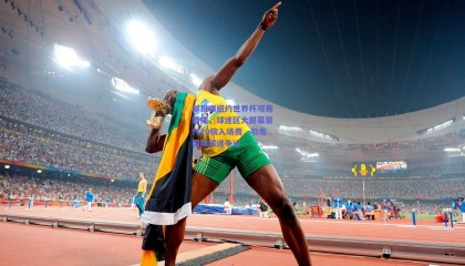 邮报曝纽约世界杯观赛新规，球迷区大屏幕需付10镑入场费，引发国际球迷争议