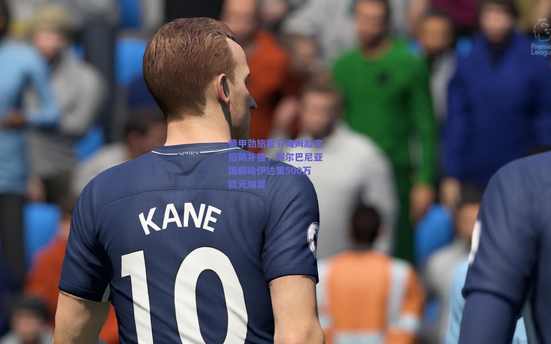 德甲劲旅霍芬海姆敲定后防补强,阿尔巴尼亚国脚哈伊达里500万欧元加盟