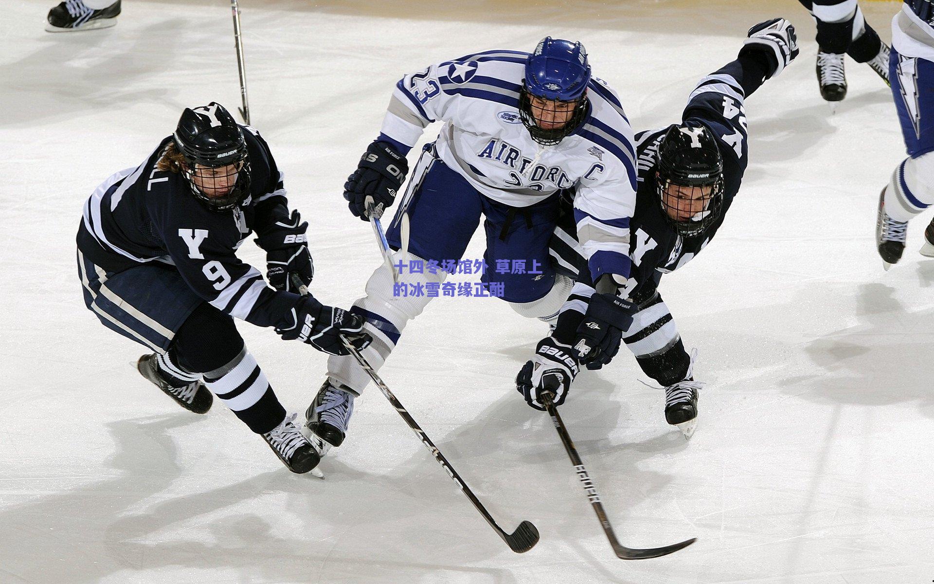 十四冬场馆外 草原上的冰雪奇缘正酣